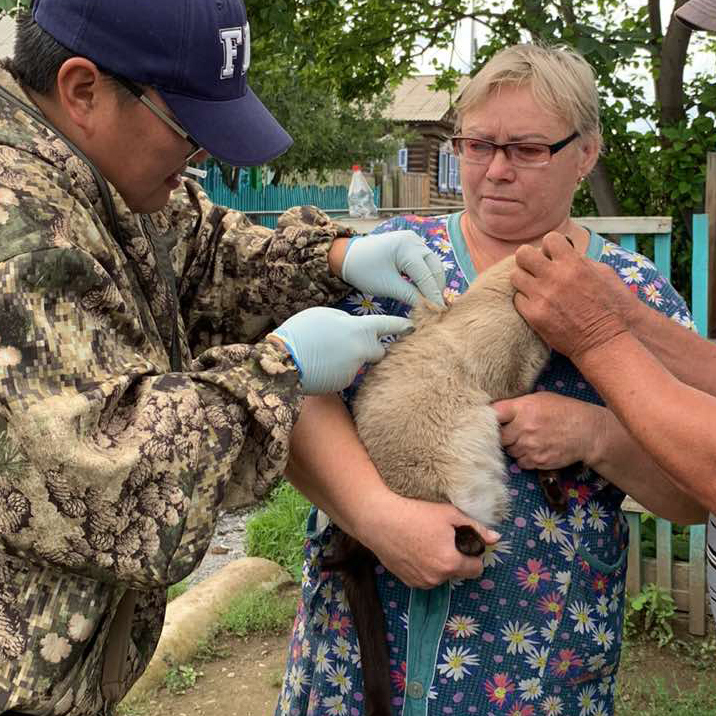 В ветеринарной службе района разъяснили, чем опасно бешенство.